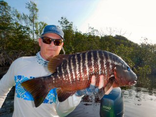 blog-March-22-2016-6-african-cubera-snapper