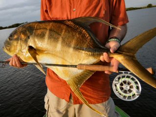 blog-March-23-2016-3-flyfishing-for-longfin-jacks