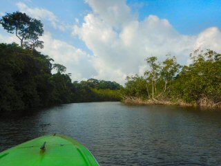 blog-March-23-2016-5-hiking-in-Gabon