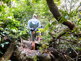 blog-March-23-2016-6-hiking-in-gabon