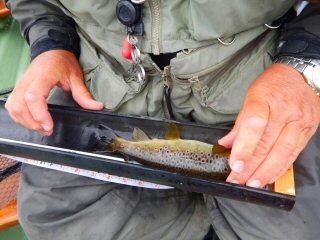 blog-June-17-2016-13-world-championshhips-of-flyfishing