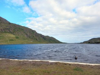 blog-June-17-2016-3-flyfishing-lough-muck