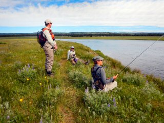 blog-June-21-2016-5-harriman-ranch-henry's-fork