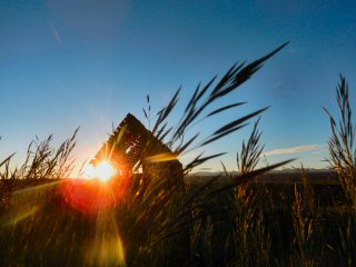 blog-July-12-2016-1-flyfishing-idaho