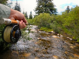 blog-July-19-2016-10-flyfishing-small-streams