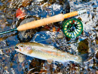 blog-July-19-2016-13-jeff-currier-bauer-reels