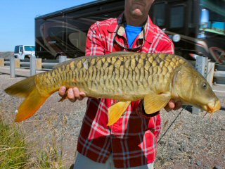 Beat the Heat Fishing For Carp - Conservation Federation of Missouri