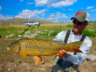 blog-July-26-2016-5-jeff-currier-flyfishing-for-mirror-carp