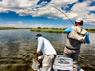 blog-July-8-2016-4-flyfishing-idaho