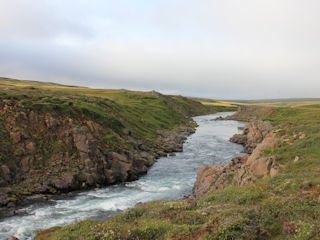 blog-Aug-19-2016-9-hafralonsa-salmon-river