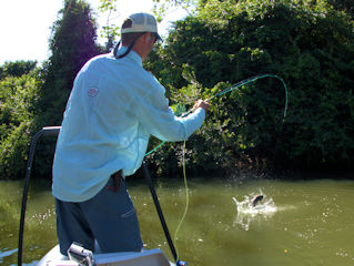 blog-Aug-2-2016-3-jeff-currier-flyfishing-for-wolf-fish