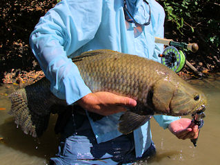 Fly Fishing For Wolf Fish Archives Jeff Currier