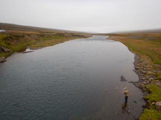 blog-Aug-25-2016-12-flyfishing-the-Sela-River-Iceland