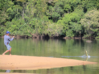 blog-Aug-4-2016-8-jeff-currier-flyfishing-for-bicuda