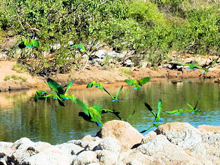 blog-Aug-5-2016-2-flyfishing-brazil