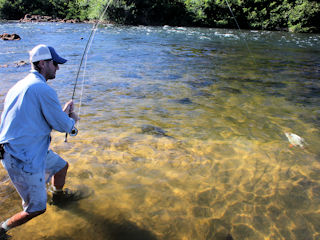 blog-July-31-2016-4-jeff-currier-flyfishing-for-pacu