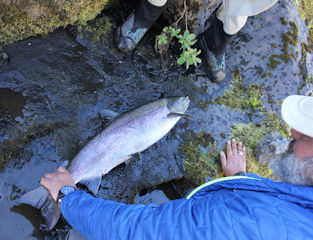 blog-Aug-23-2016-16-icelandic-fly-fishermen