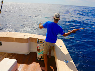 blog-sept-18-2016-6-jeff-currier-flyfishing-marlin