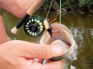 Reel of the Week: Kids Catching Pike on the Fly Rod - Flylords Mag