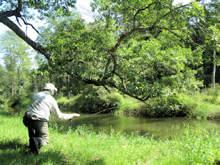 blog-sept-4-2016-3-flyfishing-spruce-creek