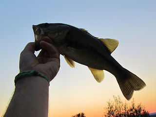 blog-sept-5-2016-10-flyfishing-for-bass-in-pa