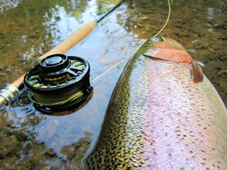 blog-sept-5-2016-5-flyfishing-spring-creeks-in-pennsylvania