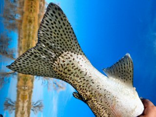 blog-nov-4-6-2016-5-flyfishing-wy