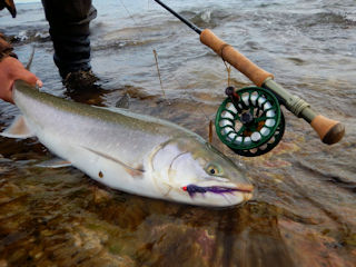 A Full Day Fly Fishing at Ungava Bay – Jeff Currier