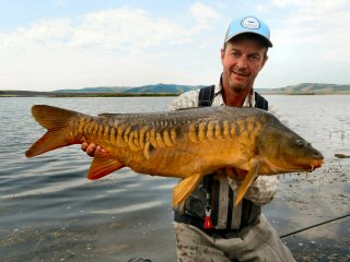 mirror carp Jeff Currier