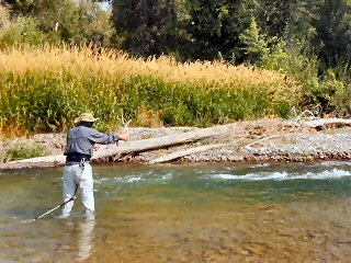 fly fishing with Page Chapman