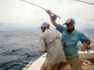 Jeff Currier fly fishing for Dorado