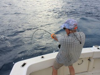 fly fishing for billfish