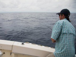 fly fishing for blue marlin