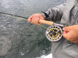 saltwater fly fishing