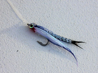 false albacore fly patterns