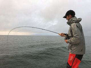 Jeff Currier fly fishing for false albacore
