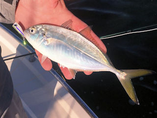 flyfishing Massachusetts