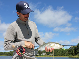 flyfishing for striped bass with Jeff Currier