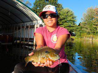 fly fishing for huge bluegill