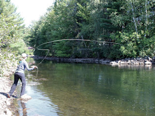 fly fishing for smallmouth bass in New Hampshire