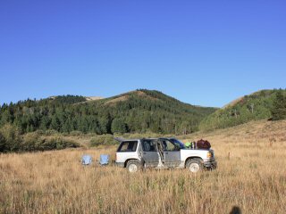 fly fishing for carp