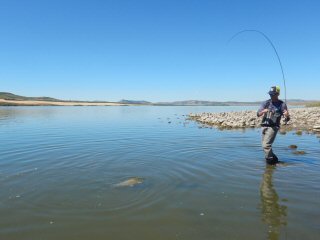 Jeff Currier fly fishing for mirror carp
