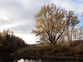 Wisconsin fly fishing