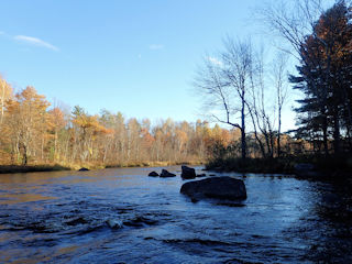 fly fishing for muskie