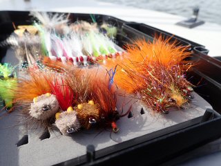 flies for redfish
