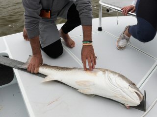 Yeti redfishing tournament