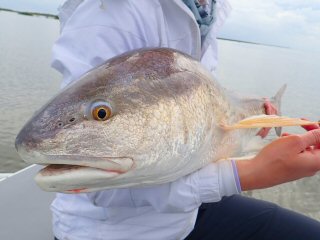 redfishing Louisiana
