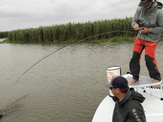 Jeff Currier huge bull redfish