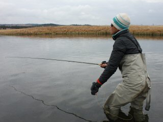 Granny Currier fly fishing the Henry's Fork