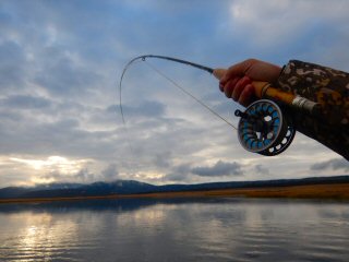 Bauer Fly Reels, Scientific Angler Fly Lines, Winston Rods and Jeff Currier